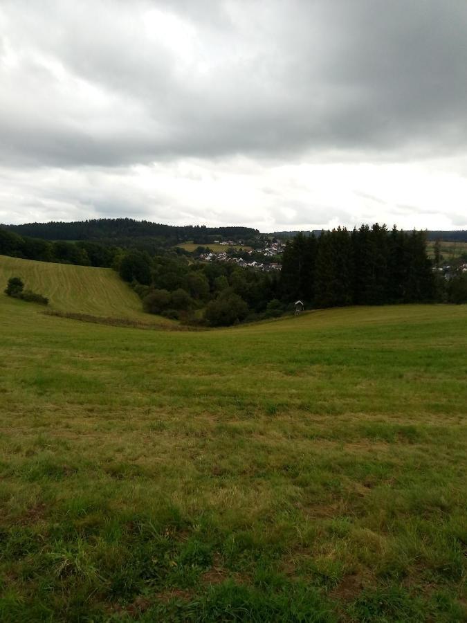 Haus Marion Appartement Daun Buitenkant foto